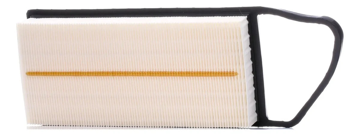 Filtro de Aire C3087/2 Citroën / Peugeot / Ford