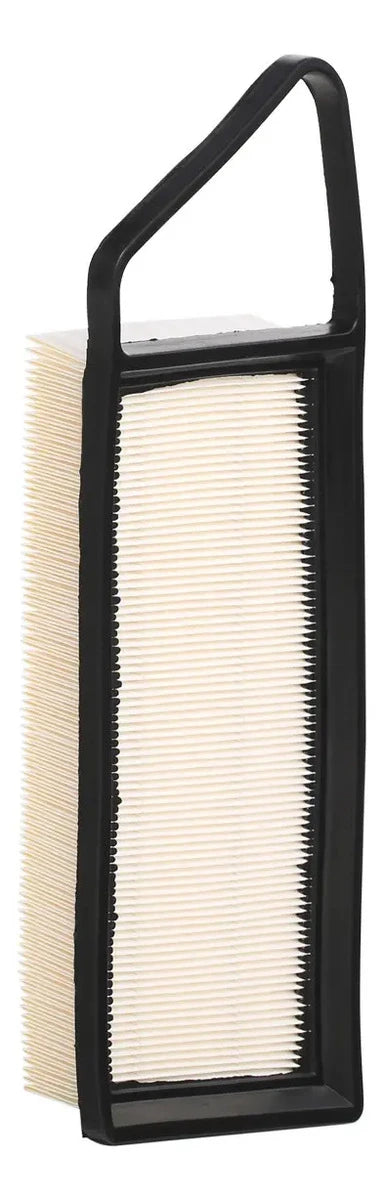 Filtro de Aire C3087/2 Citroën / Peugeot / Ford