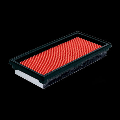Filtro de Aire Nissan Navara D40 / Pathfinder R51 2.5 / 3.0 dCi (16546-EB300)